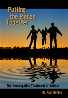 putting-pieces-together-cover